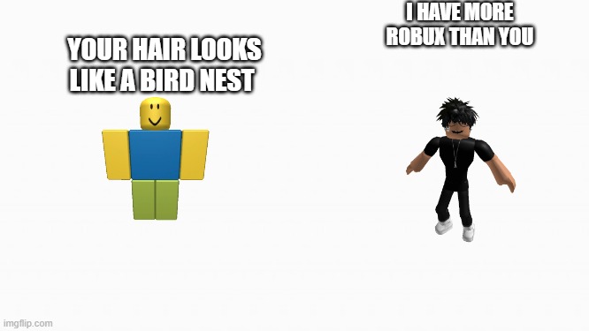 Slender vs Noob | I HAVE MORE ROBUX THAN YOU; YOUR HAIR LOOKS LIKE A BIRD NEST | image tagged in white box,roblox,slender | made w/ Imgflip meme maker