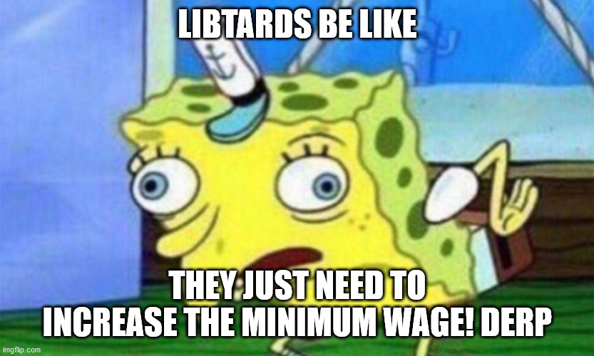 spongebob stupid | LIBTARDS BE LIKE THEY JUST NEED TO INCREASE THE MINIMUM WAGE! DERP | image tagged in spongebob stupid | made w/ Imgflip meme maker