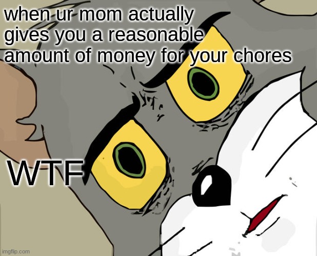 Unsettled Tom Meme | when ur mom actually gives you a reasonable amount of money for your chores; WTF | image tagged in memes,unsettled tom | made w/ Imgflip meme maker
