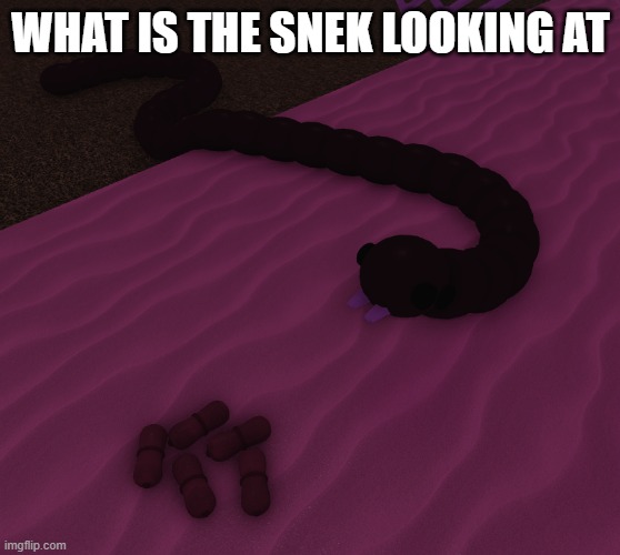 WHAT IS THE SNEK LOOKING AT | image tagged in snake looking at something | made w/ Imgflip meme maker