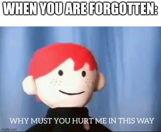 why must you hurt me in this way | WHEN YOU ARE FORGOTTEN: | image tagged in why must you hurt me in this way | made w/ Imgflip meme maker