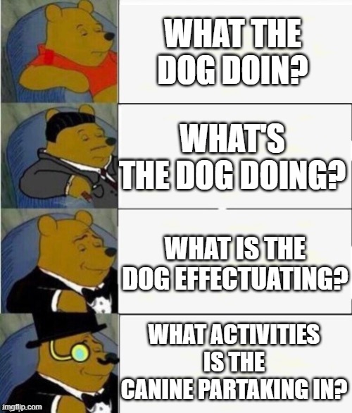 Tuxedo Winnie the Pooh 4 panel | WHAT THE DOG DOIN? WHAT'S THE DOG DOING? WHAT IS THE DOG EFFECTUATING? WHAT ACTIVITIES IS THE CANINE PARTAKING IN? | image tagged in tuxedo winnie the pooh 4 panel | made w/ Imgflip meme maker