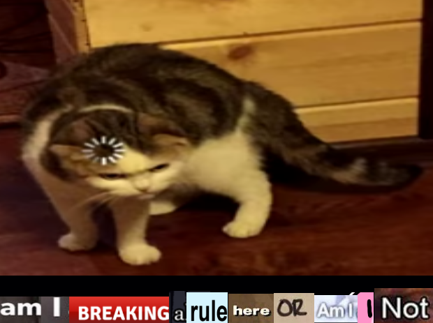 am i breaking a rule here or am i not Blank Meme Template