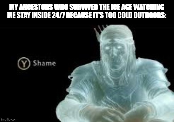 Y (Shame) |  MY ANCESTORS WHO SURVIVED THE ICE AGE WATCHING ME STAY INSIDE 24/7 BECAUSE IT'S TOO COLD OUTDOORS: | image tagged in y shame | made w/ Imgflip meme maker