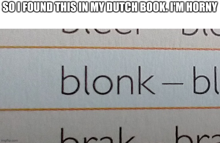 SO I FOUND THIS IN MY DUTCH BOOK. I'M HORNY | image tagged in dutch,horny,bonk | made w/ Imgflip meme maker