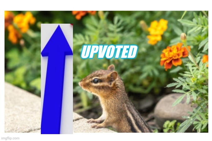 UPVOTED | made w/ Imgflip meme maker