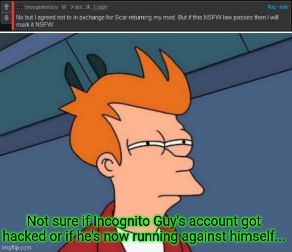 No: he actually is that smort... | Not sure if Incognito Guy's account got hacked or if he's now running against himself... | image tagged in memes,futurama fry,did incognito,get,hacked,lol | made w/ Imgflip meme maker