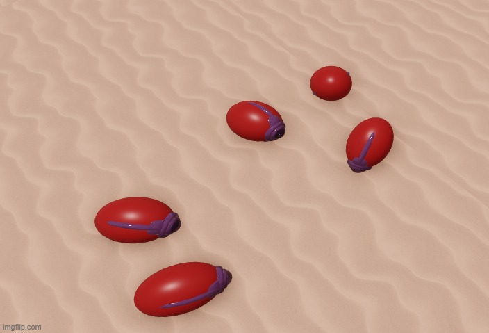 Eggs | image tagged in eggs | made w/ Imgflip meme maker