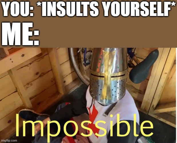 i dont see the flaws you speak of <3 | YOU: *INSULTS YOURSELF*; ME: | image tagged in impossible crusader | made w/ Imgflip meme maker