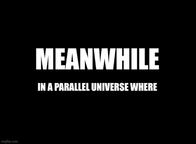Meanwhile in a parallel universe | image tagged in meanwhile in a parallel universe | made w/ Imgflip meme maker