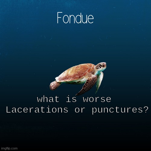 Questionable | what is worse 
Lacerations or punctures? | image tagged in turtle template-fondue | made w/ Imgflip meme maker