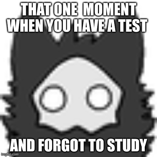 this just makes my made | THAT ONE  MOMENT WHEN YOU HAVE A TEST; AND FORGOT TO STUDY | image tagged in relatable | made w/ Imgflip meme maker