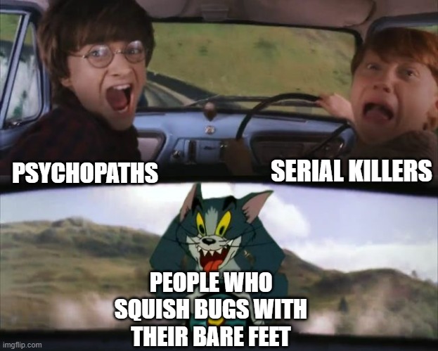 lol | SERIAL KILLERS; PSYCHOPATHS; PEOPLE WHO SQUISH BUGS WITH THEIR BARE FEET | image tagged in tom chasing harry and ron weasly | made w/ Imgflip meme maker