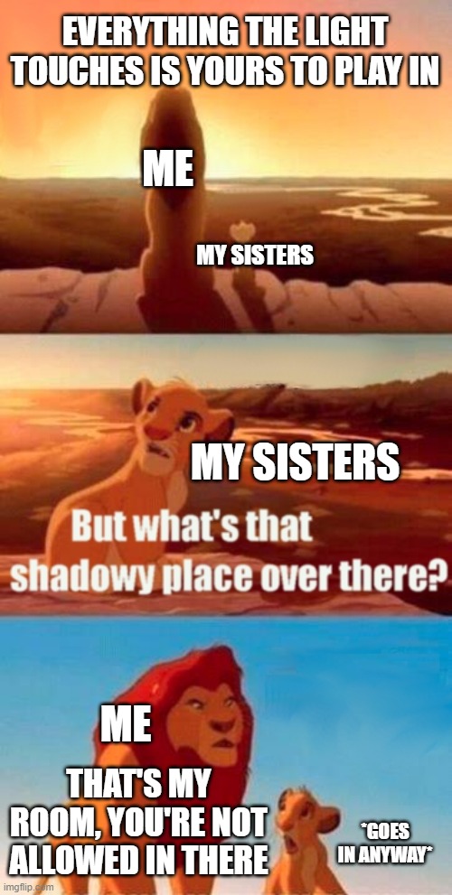 this happen to anybody else? | EVERYTHING THE LIGHT TOUCHES IS YOURS TO PLAY IN; ME; MY SISTERS; MY SISTERS; ME; THAT'S MY ROOM, YOU'RE NOT ALLOWED IN THERE; *GOES IN ANYWAY* | image tagged in memes,simba shadowy place | made w/ Imgflip meme maker