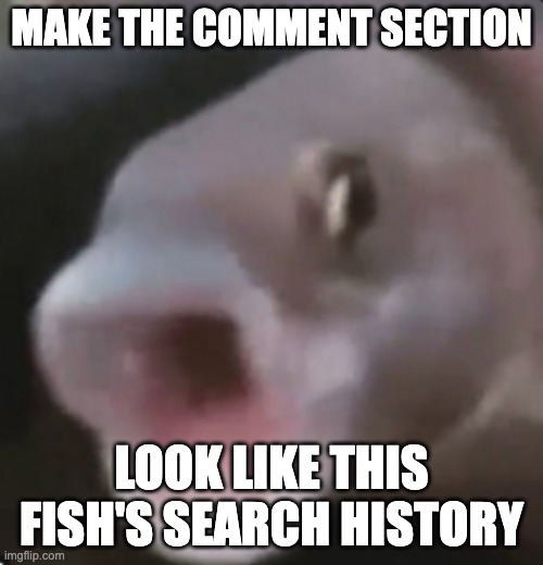 Poggers Fish | MAKE THE COMMENT SECTION; LOOK LIKE THIS FISH'S SEARCH HISTORY | image tagged in poggers fish | made w/ Imgflip meme maker