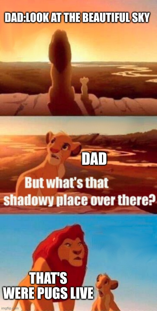 Simba Shadowy Place Meme | DAD:LOOK AT THE BEAUTIFUL SKY; DAD; THAT'S WERE PUGS LIVE | image tagged in memes,simba shadowy place | made w/ Imgflip meme maker