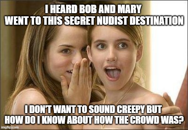 Girls gossiping | I HEARD BOB AND MARY 
WENT TO THIS SECRET NUDIST DESTINATION; I DON'T WANT TO SOUND CREEPY BUT 
HOW DO I KNOW ABOUT HOW THE CROWD WAS? | image tagged in girls gossiping | made w/ Imgflip meme maker