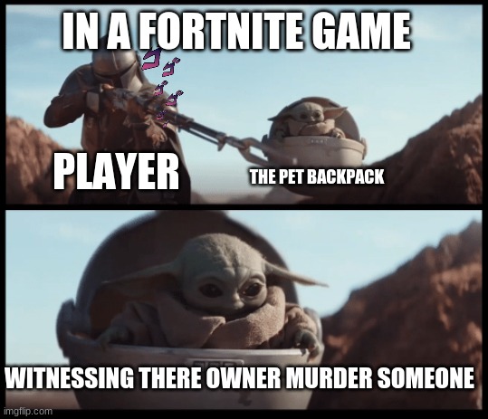 akward | IN A FORTNITE GAME; PLAYER; THE PET BACKPACK; WITNESSING THERE OWNER MURDER SOMEONE | image tagged in baby yoda | made w/ Imgflip meme maker