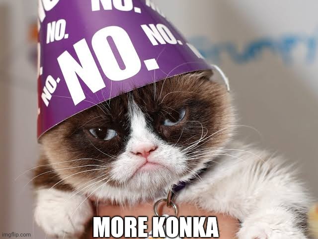 What are you saying | MORE KONKA | image tagged in funny | made w/ Imgflip meme maker