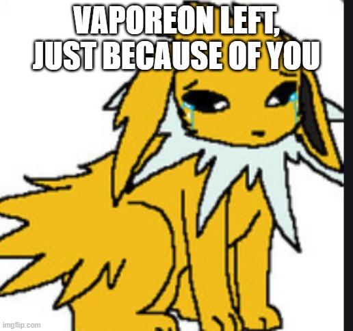 I know it was a long time but still, I remember vaporeon | VAPOREON LEFT, JUST BECAUSE OF YOU | image tagged in sad jolteon | made w/ Imgflip meme maker