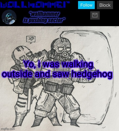 Yo, i was walking outside and saw hedgehog | image tagged in wallhammer temp | made w/ Imgflip meme maker