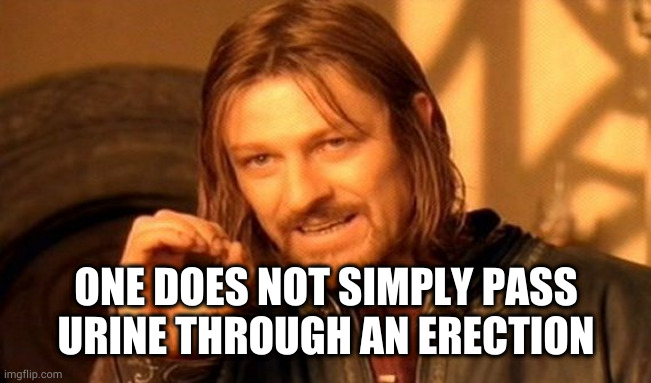 Not even first thing in the morning | ONE DOES NOT SIMPLY PASS URINE THROUGH AN ERECTION | image tagged in memes,one does not simply | made w/ Imgflip meme maker
