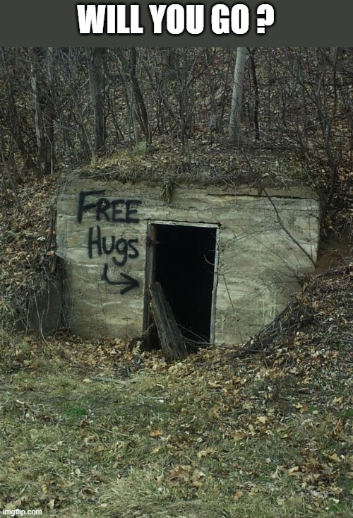 free-hugs | WILL YOU GO ? | image tagged in free-hugs | made w/ Imgflip meme maker