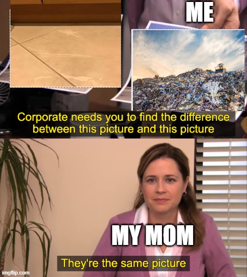 Sometimes moms overexaggerate huh... | ME; MY MOM | image tagged in there the same picture,trash,garbage,relatable | made w/ Imgflip meme maker