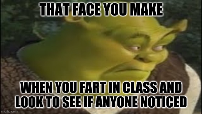 That one face you make.... when you fart in class and look to see if anyone noticed. | THAT FACE YOU MAKE; WHEN YOU FART IN CLASS AND LOOK TO SEE IF ANYONE NOTICED | image tagged in memes | made w/ Imgflip meme maker