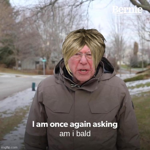 Bernie I Am Once Again Asking For Your Support | am i bald | image tagged in memes,bernie i am once again asking for your support | made w/ Imgflip meme maker