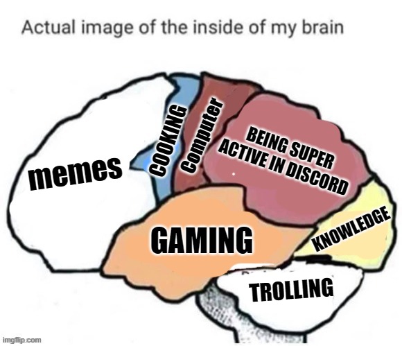 actual image of my brain rn.. | Computer; COOKING; BEING SUPER ACTIVE IN DISCORD; memes; KNOWLEDGE; GAMING; TROLLING | image tagged in my brain,brain | made w/ Imgflip meme maker
