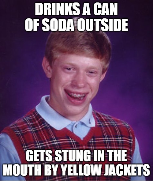 Bad Luck Brian | DRINKS A CAN OF SODA OUTSIDE; GETS STUNG IN THE MOUTH BY YELLOW JACKETS | image tagged in memes,bad luck brian,yellow jackets | made w/ Imgflip meme maker