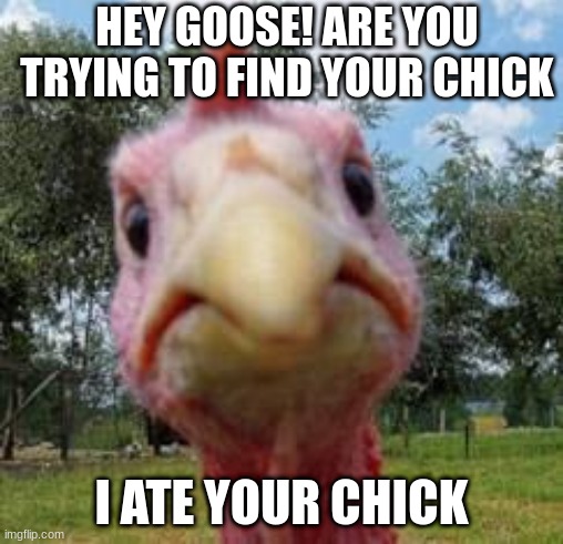 Trkey chicks | HEY GOOSE! ARE YOU TRYING TO FIND YOUR CHICK; I ATE YOUR CHICK | image tagged in turkey,goose | made w/ Imgflip meme maker