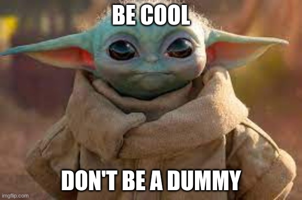 baby yoda | BE COOL; DON'T BE A DUMMY | image tagged in change my mind | made w/ Imgflip meme maker