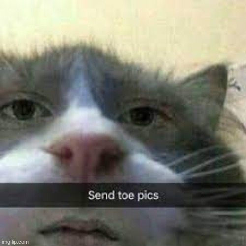 pls | image tagged in cursed,memes,funny,wtf | made w/ Imgflip meme maker