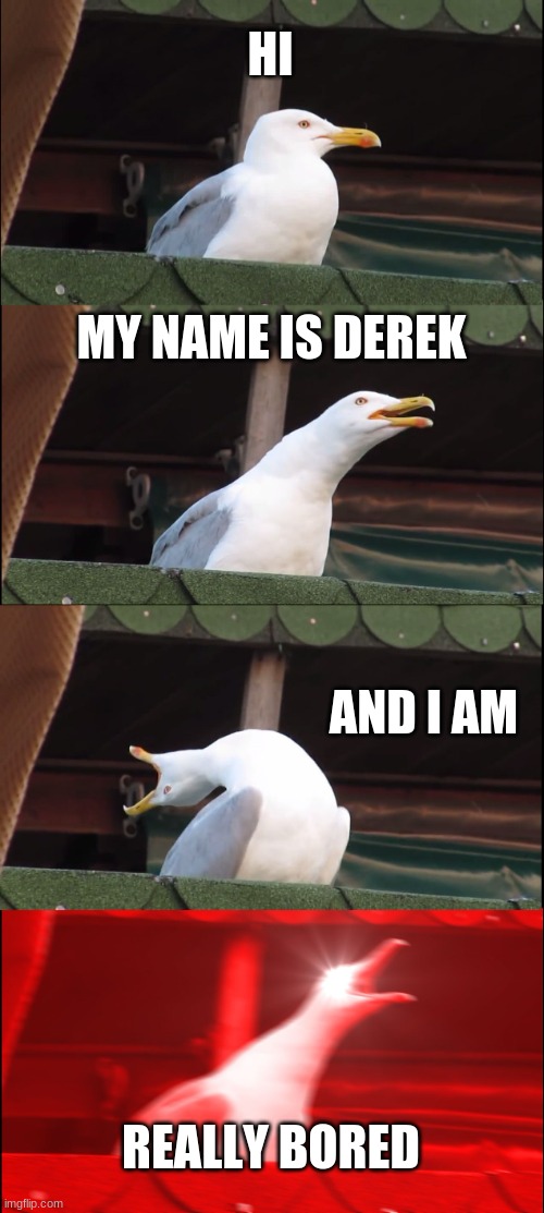pls help me |  HI; MY NAME IS DEREK; AND I AM; REALLY BORED | image tagged in memes,inhaling seagull | made w/ Imgflip meme maker