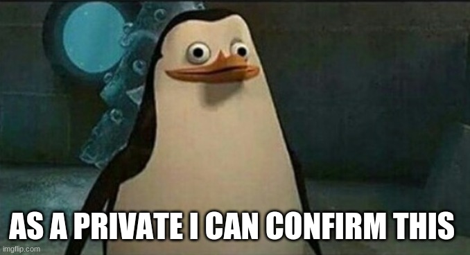 Confused Private Penguin | AS A PRIVATE I CAN CONFIRM THIS | image tagged in confused private penguin | made w/ Imgflip meme maker