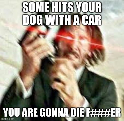 Triggered John Wick | SOME HITS YOUR DOG WITH A CAR; YOU ARE GONNA DIE F###ER | image tagged in triggered john wick | made w/ Imgflip meme maker