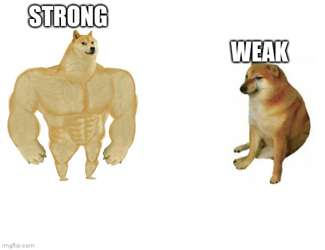 Ikr? | STRONG; WEAK | image tagged in buf dogu and cemez | made w/ Imgflip meme maker