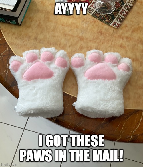 FINALLY I WAS WAITING FOR THOSE | AYYYY; I GOT THESE PAWS IN THE MAIL! | made w/ Imgflip meme maker