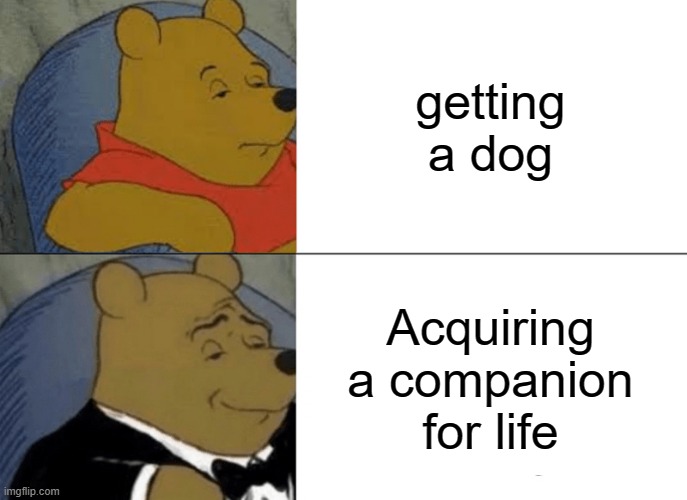 Tuxedo Winnie The Pooh | getting a dog; Acquiring a companion for life | image tagged in memes,tuxedo winnie the pooh | made w/ Imgflip meme maker