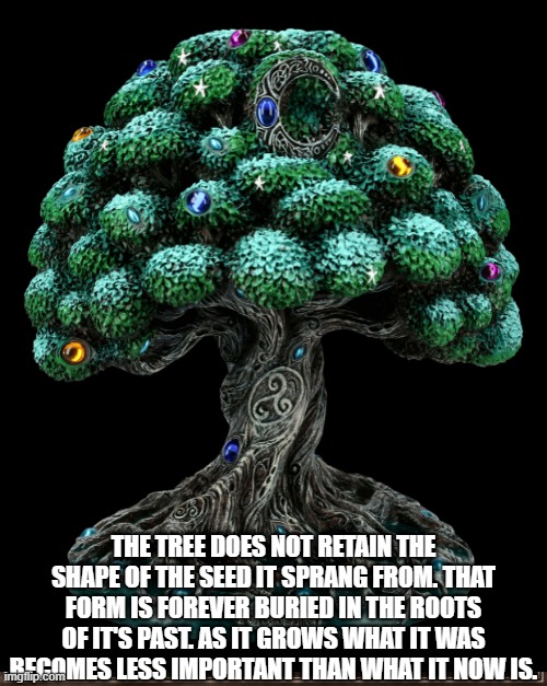 tree | THE TREE DOES NOT RETAIN THE SHAPE OF THE SEED IT SPRANG FROM. THAT FORM IS FOREVER BURIED IN THE ROOTS OF IT'S PAST. AS IT GROWS WHAT IT WAS BECOMES LESS IMPORTANT THAN WHAT IT NOW IS. | image tagged in philosoraptor | made w/ Imgflip meme maker