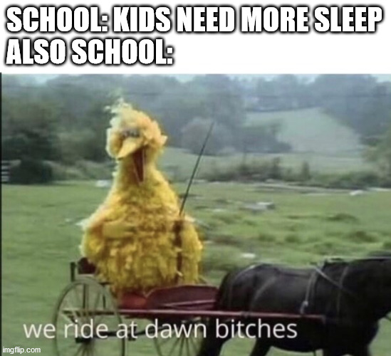 School has us wake up at 6 am, but why? | SCHOOL: KIDS NEED MORE SLEEP
ALSO SCHOOL: | image tagged in we ride at dawn bitches | made w/ Imgflip meme maker