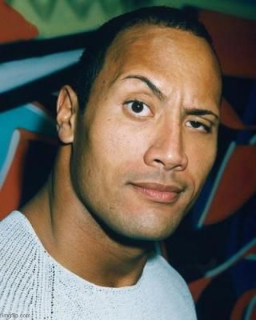 The rock eyebrow | image tagged in the rock eyebrow | made w/ Imgflip meme maker