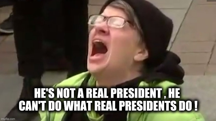 Screaming Liberal  | HE'S NOT A REAL PRESIDENT , HE 
CAN'T DO WHAT REAL PRESIDENTS DO ! | image tagged in screaming liberal | made w/ Imgflip meme maker
