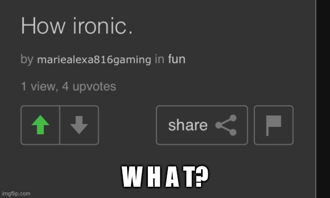 What | W H A T? | image tagged in what | made w/ Imgflip meme maker