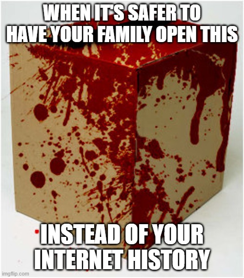 Bloody Box | WHEN IT'S SAFER TO HAVE YOUR FAMILY OPEN THIS; INSTEAD OF YOUR INTERNET HISTORY | image tagged in bloody box | made w/ Imgflip meme maker