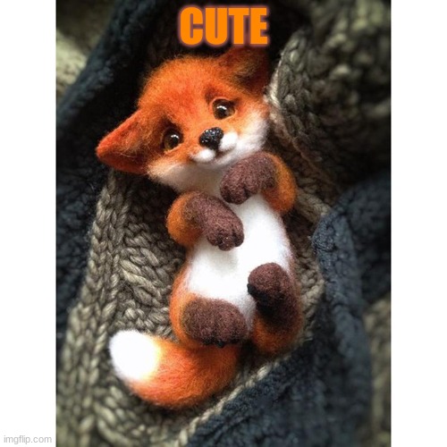 cute |  CUTE | image tagged in cute | made w/ Imgflip meme maker