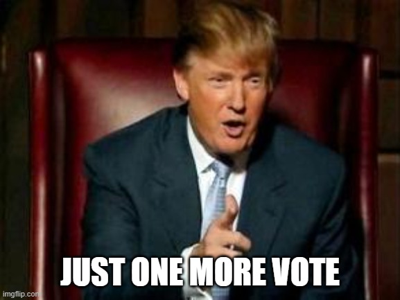 Donald Trump | JUST ONE MORE VOTE | image tagged in donald trump | made w/ Imgflip meme maker