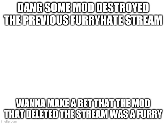 Blank White Template | DANG SOME MOD DESTROYED THE PREVIOUS FURRYHATE STREAM; WANNA MAKE A BET THAT THE MOD THAT DELETED THE STREAM WAS A FURRY | image tagged in blank white template | made w/ Imgflip meme maker